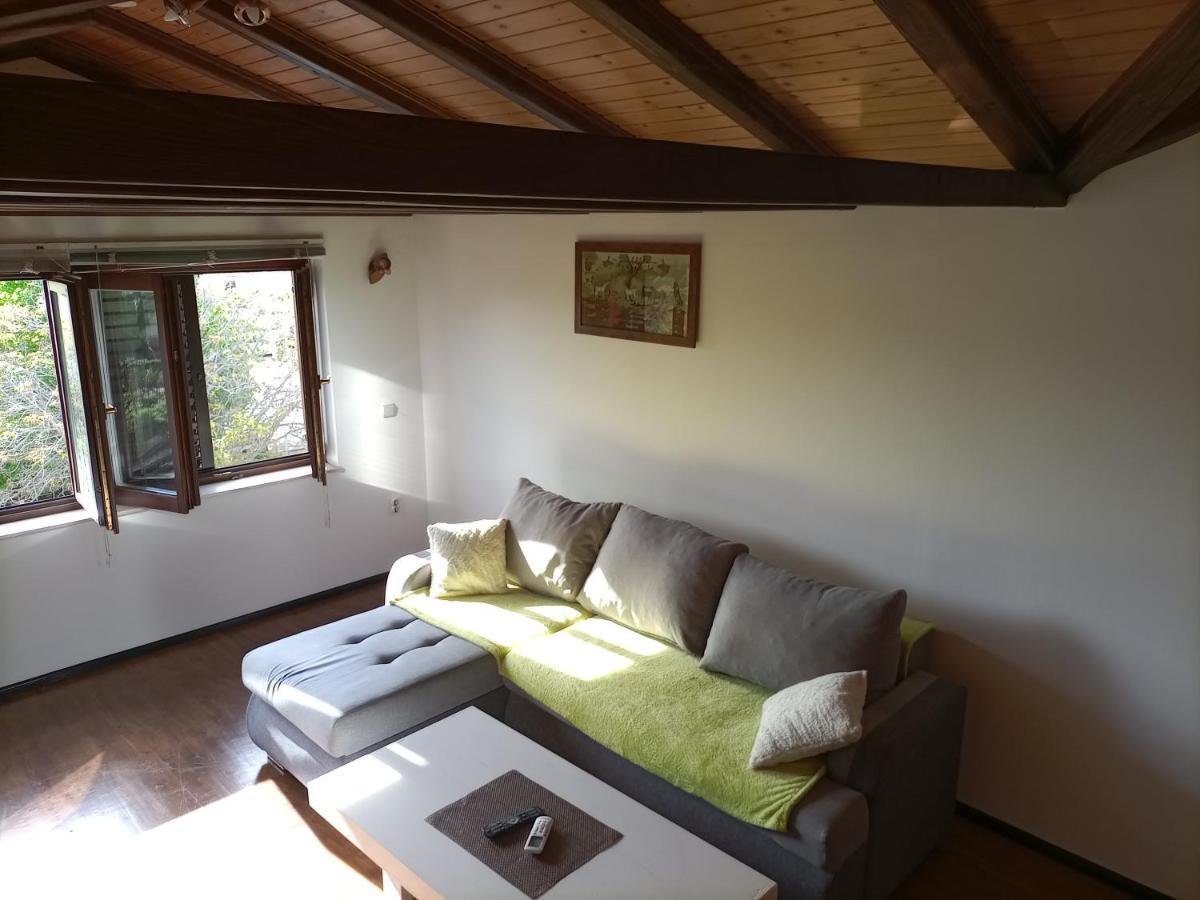 Apartments Ingrid Novigrad Istria Eksteriør billede