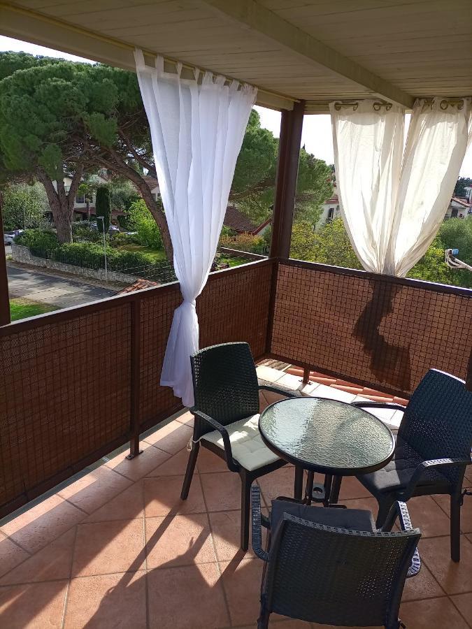 Apartments Ingrid Novigrad Istria Eksteriør billede