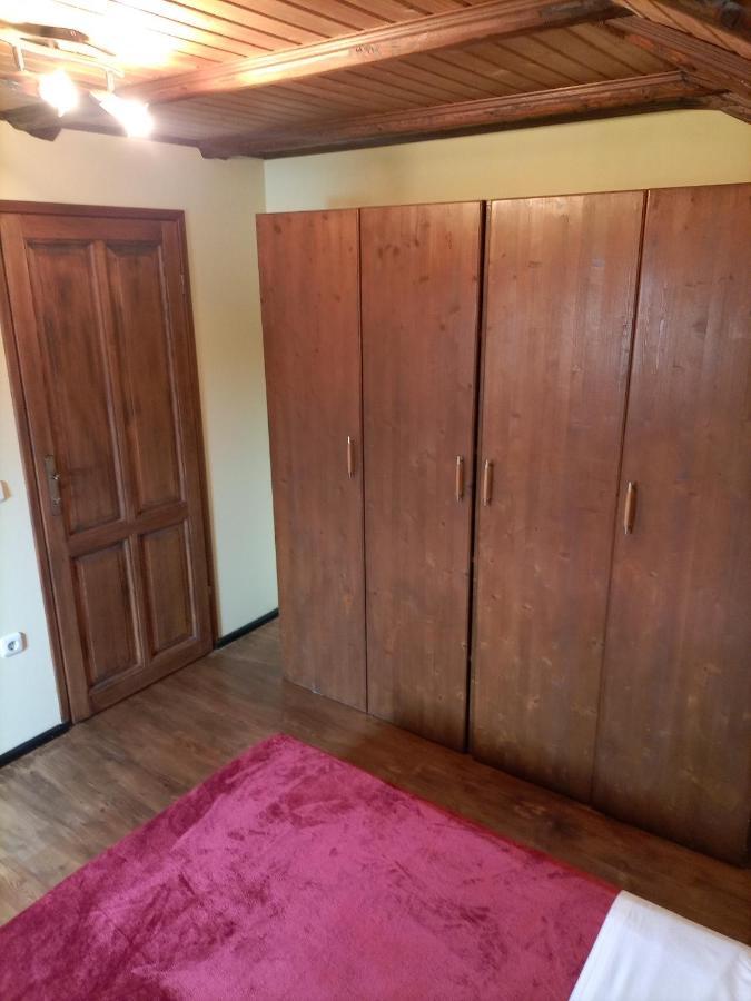 Apartments Ingrid Novigrad Istria Eksteriør billede