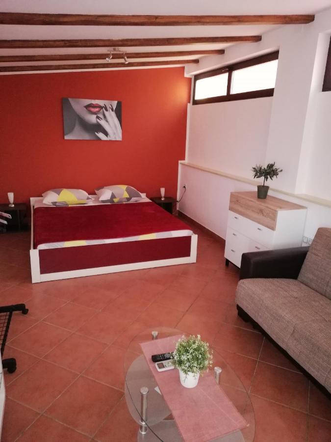 Apartments Ingrid Novigrad Istria Eksteriør billede