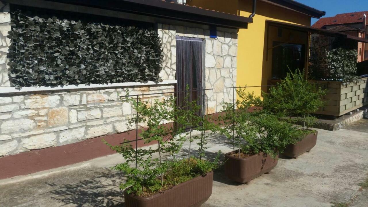 Apartments Ingrid Novigrad Istria Eksteriør billede