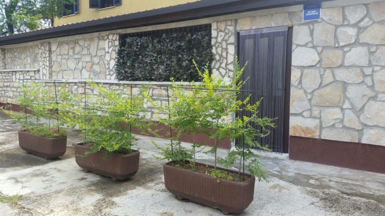 Apartments Ingrid Novigrad Istria Eksteriør billede